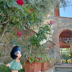 Olivella , Reggello Italia